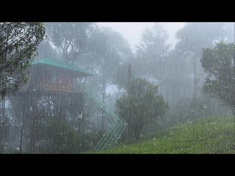 Barulho de Chuva e Trovoadas para Dormir Profundamente Imediatamente - Som de Chuva na Floresta