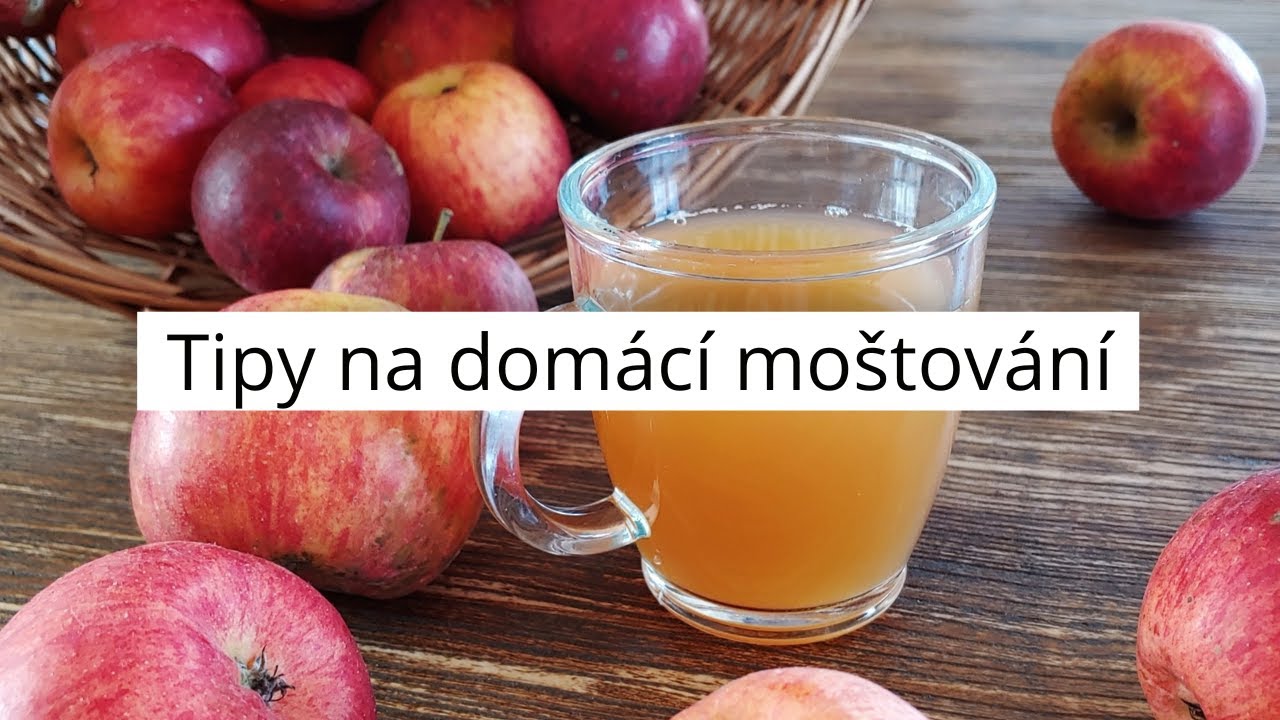 Jak si vyrobit domácí mošt?