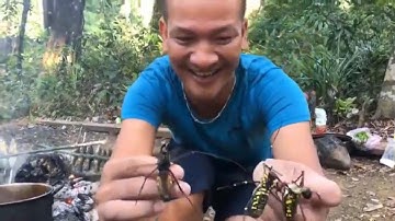 Cá suối gác bếp 4- Du lịch camping nấu ăn dân dã-Thử thách ăn nhện rừng siêu to