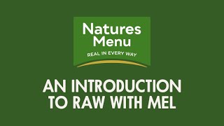 An Introduction To Raw Dog Food For Beginners