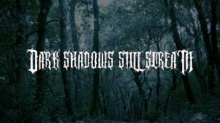 EMANUELE SEMERARO - Dark Shadows Still Scream - (OFFICIAL MUSIC VIDEO)