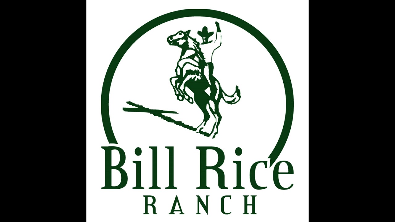 God’s Character And Actions