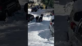 Σέρνουν φέρετρο με νεκρό στο χιόνι στον επιτελικό Δήμο Ζωγράφου