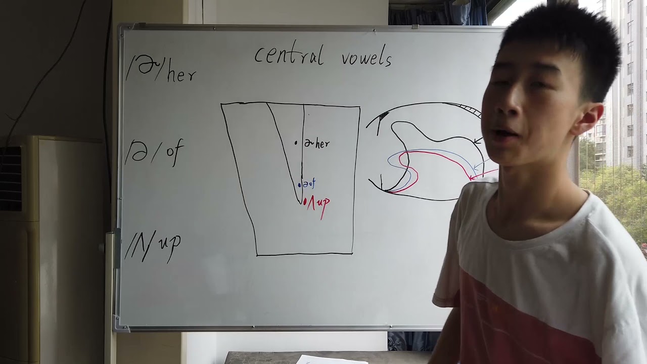 the Central Vowels -/ʌ/ /ə/ /ər/