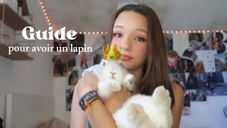 GUIDE POUR AVOIR UN LAPIN- tout ce qui faut savoir avant d’adopter un lapin !!