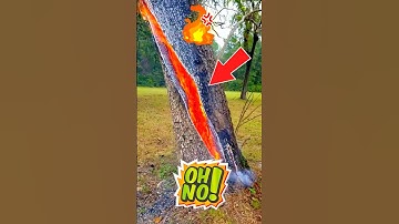 Fighting Fire with Fire  🔥 🔥 🤔