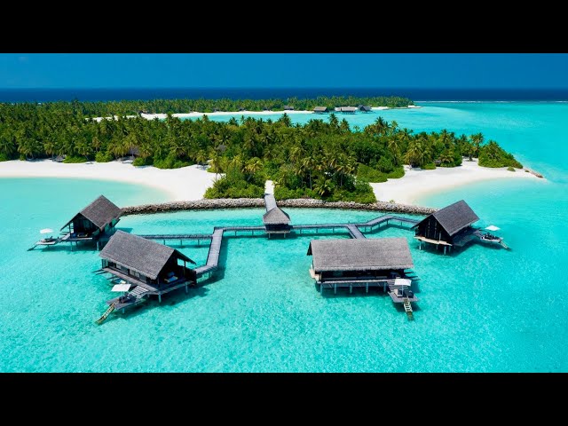 Travel vlog - ONE & ONLY MALDIVES | Phenomenal ultra-luxury resort (full tour in 4K)