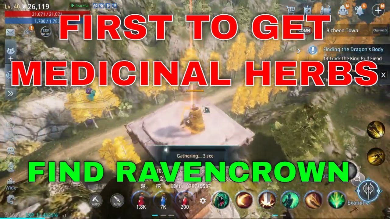 Mir4 Request Quest Clue: First to Get Medicinal Herbs Find Ravencrown Bicheon Castle