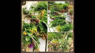 Über Das Wetter Machen Der Wetterhexen