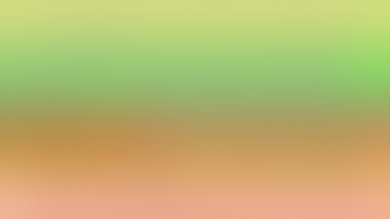 real numbers| real number class 10 excercise 1.1 |Ncert solution Vviquestion l