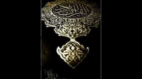 سورة البلد | تلاوة المقرئ محمد حسين عامر Holy Quran