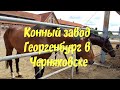 КОННЫЙ ЗАВОД ГЕОРГЕНБУРГ В ЧЕРНЯХОВСКЕ