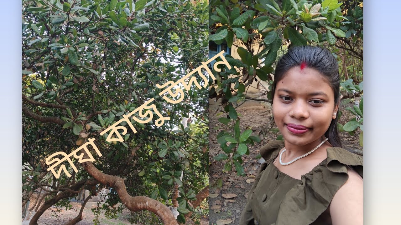 দীঘা কাজু উদ্যান গিয়েছিলাম🙂🙃