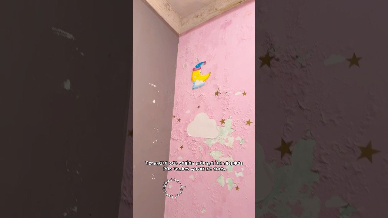 Solusi untuk tembok lembab pake cat pelapis anti bocor sanproof 