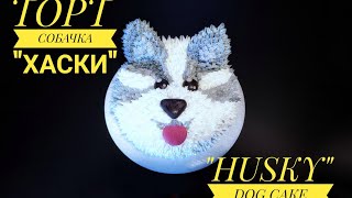 картинка: #тортсобачка #тортхаски #dogcake #cakes #торты             ТОРТ СОБАЧКА ХАСКИ.   (HUSKY DOG CAKE.)