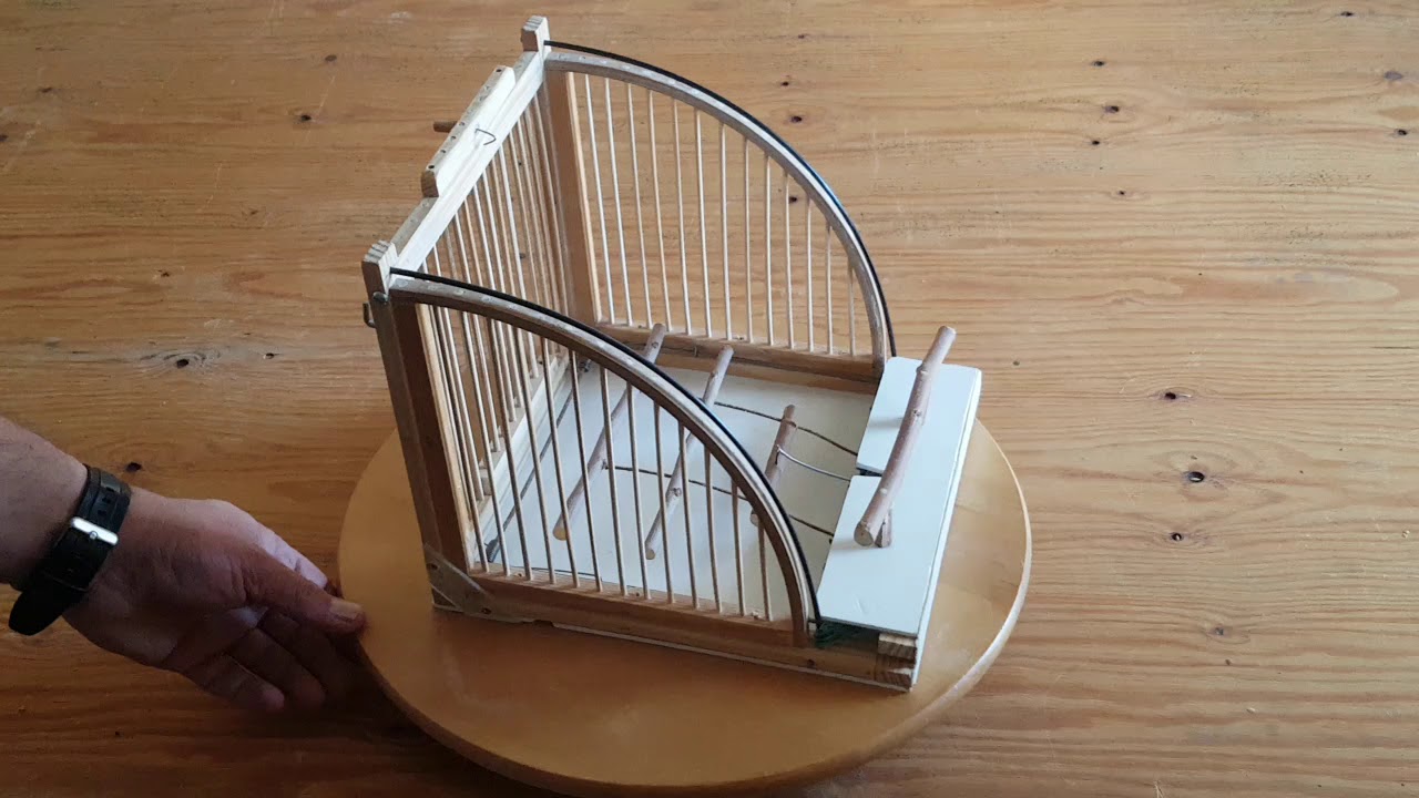 Trampa para pajaros..boca de sapo 1 de 2