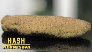 Waterfront Pure Hash Joint Wednesday