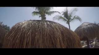 YNV - MEXICO (Official Music Video)