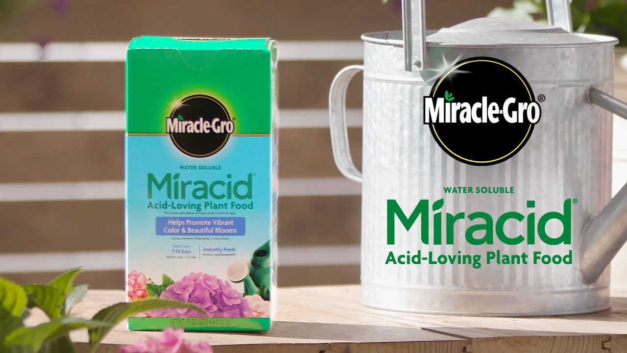 Acid miracle loving plant food