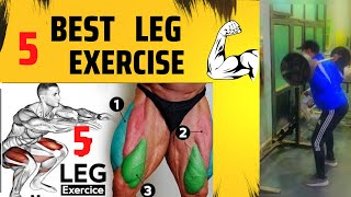 5 best exercise to build bigger legs / خمس تمارين لتفجير الارجل