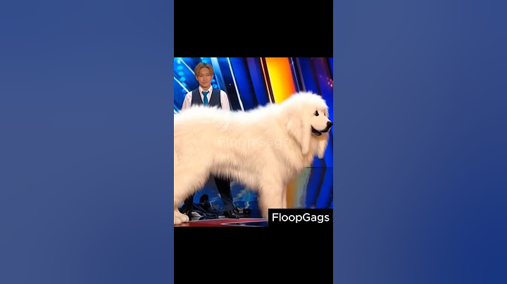 They got golden buzzer jappanese comedy duo Schumacher reveives from sofia vergara #agt #funny