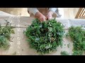 小さな家のくらし｜クリスマスリース作り/ピンポンサンタのお話/冬のあったかアップルパイ🥧