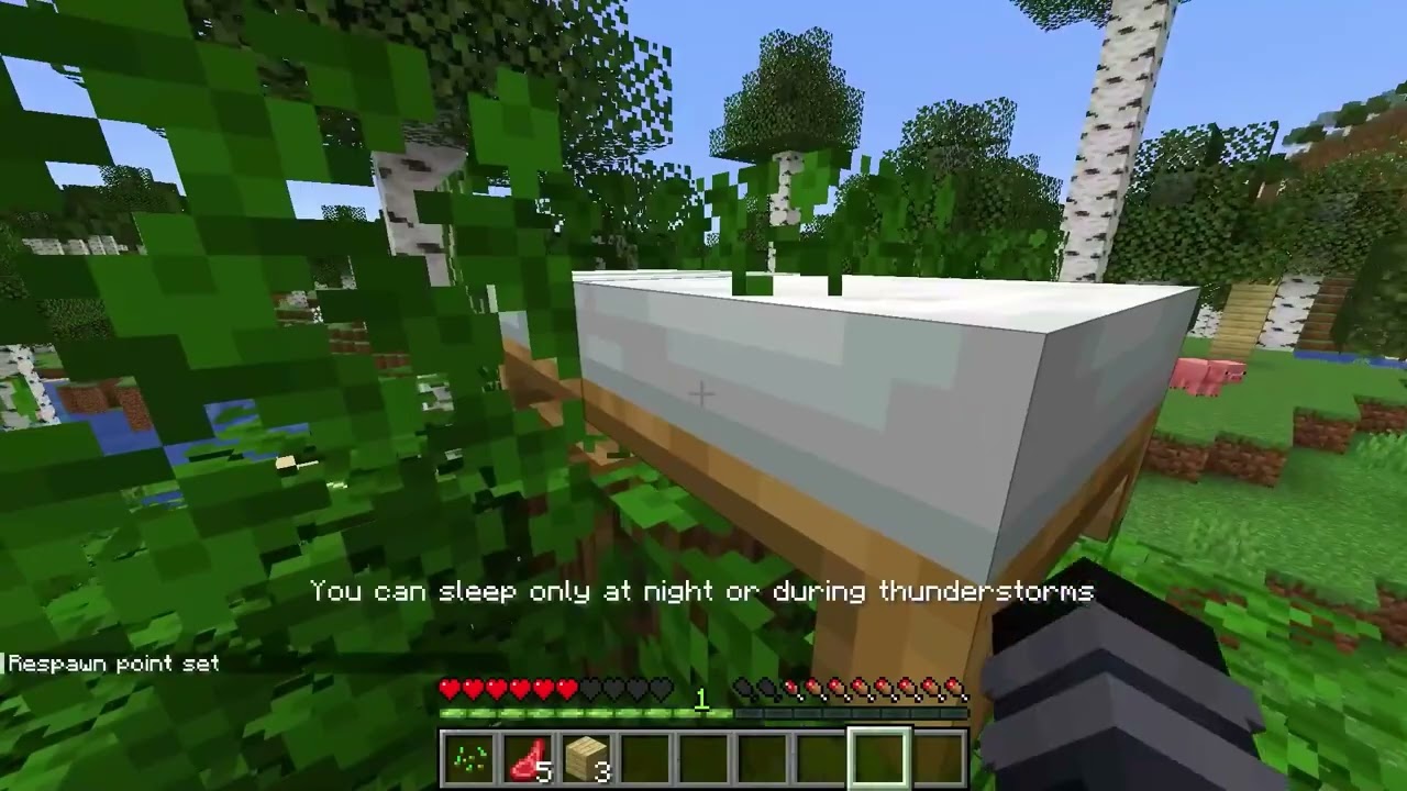 Trial Re Edit for @FPSurvivor (5 mins) | Minecraft at 100x Speed is RIDICULOUS