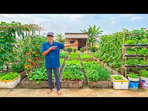 I Created a Productive Garden with a Beautiful, Practical Design