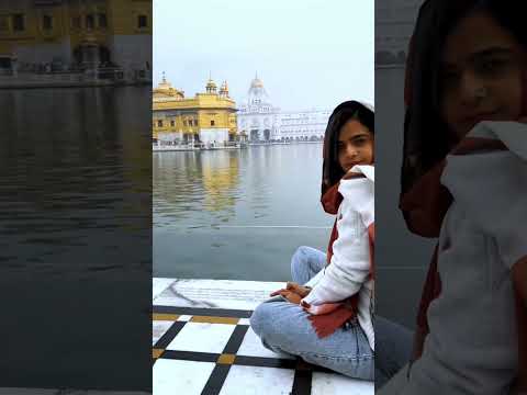 Blessing your feed ✨ #GoldenTemple #Shorts