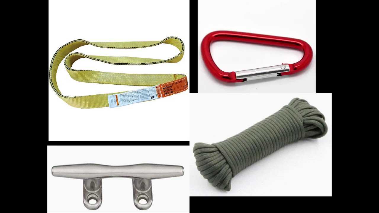 Bird feeder setup on a high limb