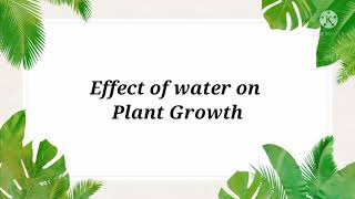Effect of Water on Plant Growth