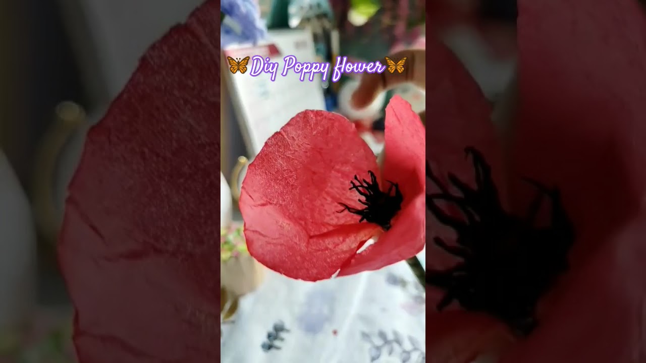If you like it please like and subscribe.Diy poppy flower 