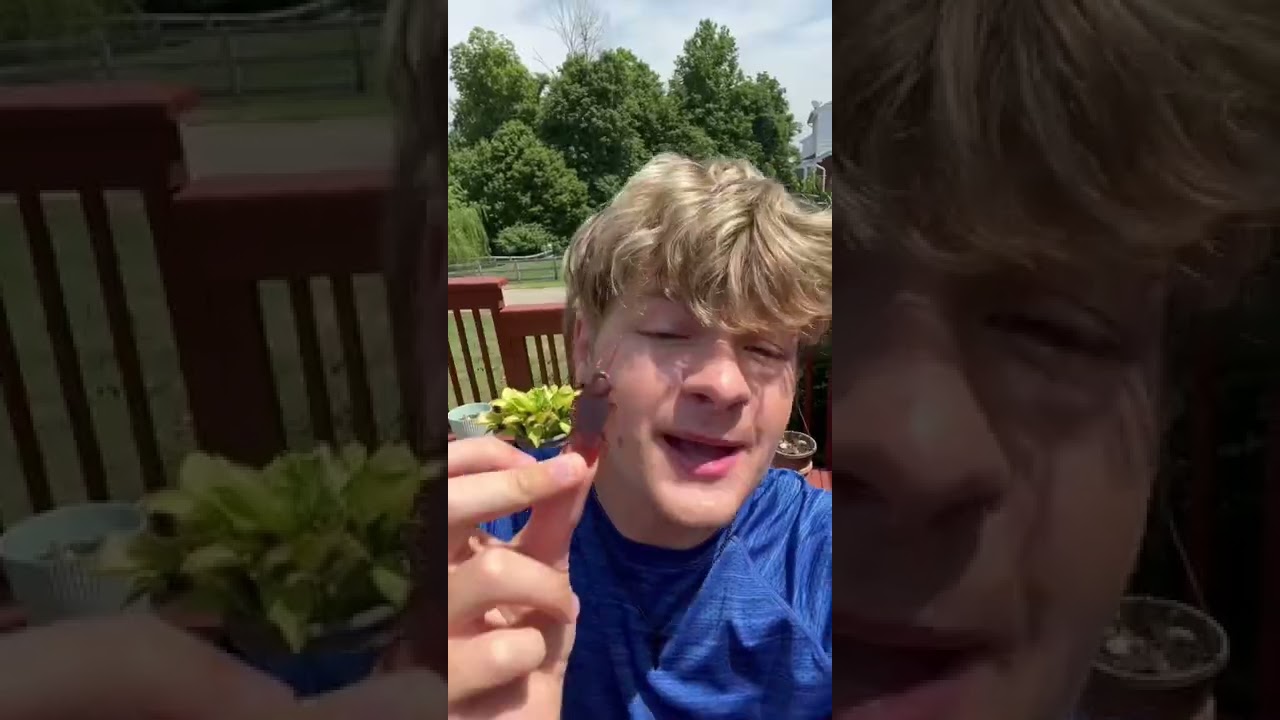 Fake bug prank! 😂 