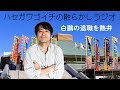 #285_ハセガワゴイチの散らかしラジオ　白鵬の退職を熱弁　シン日本相撲協会