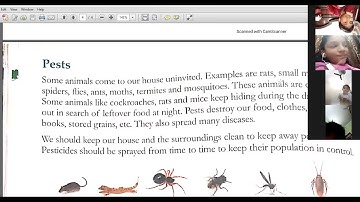 Class 3 EVS Chapter- 13 Revision  By Anuradha Chatterjee 9-12 2020