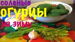 Соленые огурцы на зиму. Простой рецепт вкусных соленых огурцов.