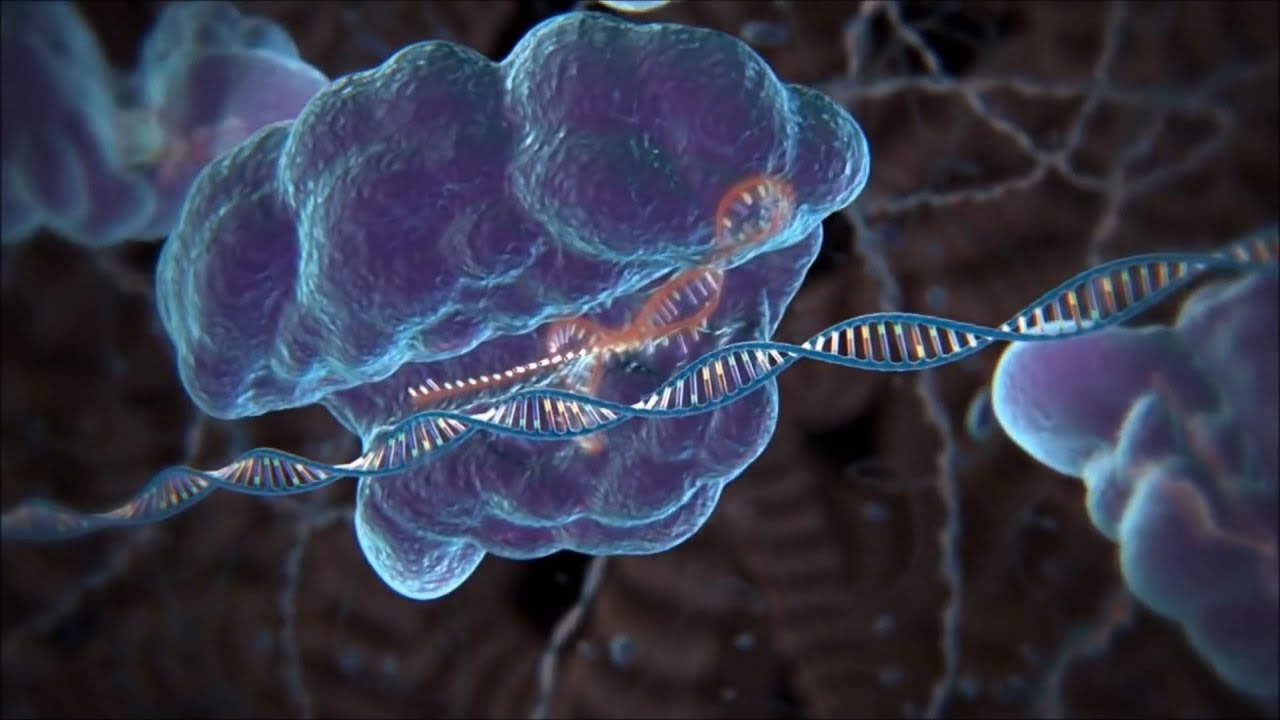 DNA - Engenharia Genética - Full HD - Imortalidade e Super Avanços na Medicina e Indústria