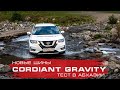 Тест шин Cordiant Gravity в Абхазии