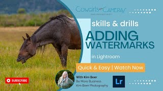 Adding Watermarks in Lightroom CC on an iPad screenshot 4