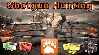 7 Shotguns Hunt | theHunter Classic 2017