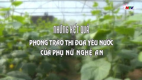 Những điển hình trong Phong trào thi đua yêu nước của phụ nữ Nghệ An