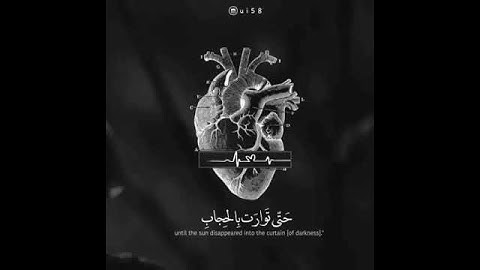 تلاوه هادئه كتاب انزلناه اليك مبارك ليدبروا اياته