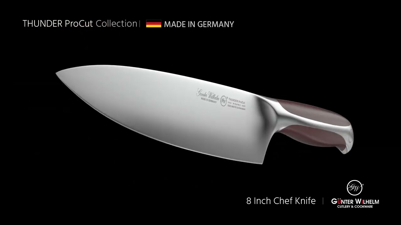  Gunter Wilhelm 10” Chef Knife, Multi-Use Professional Kitchen  Knife, Full Tang, Thunder ProCut Series: Home & Kitchen