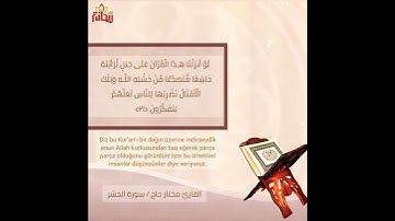 (لو أنزلنا هذا القرآن على جبل لرأيته خاشعاً) سورة الحشر القارئ مختار حاج.. حالات واتس إسلامي..