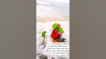 القارئ ياسر الدوسري - تلاوة خاشعة من سورة الكهف - حالات واتس اب يوم الجمعة - حالات واتس اب دينية