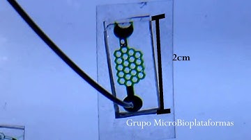 Homemade microfluidic channels @uFab-FC-UNAM