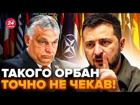 💥Це ЛЯПАС Орбану!