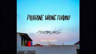 TEKOMLAKU - PILIHANE WONG TUAMU [slowed   reverb]