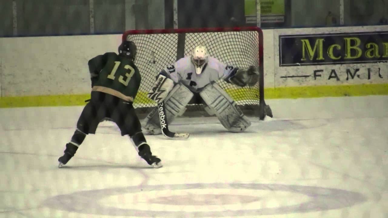 IPFW Hockey vs. Wayne State 11/30/12