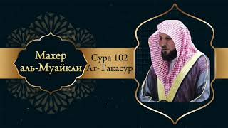 Махер аль-Муайкли Сура 102 Ат-Такасур